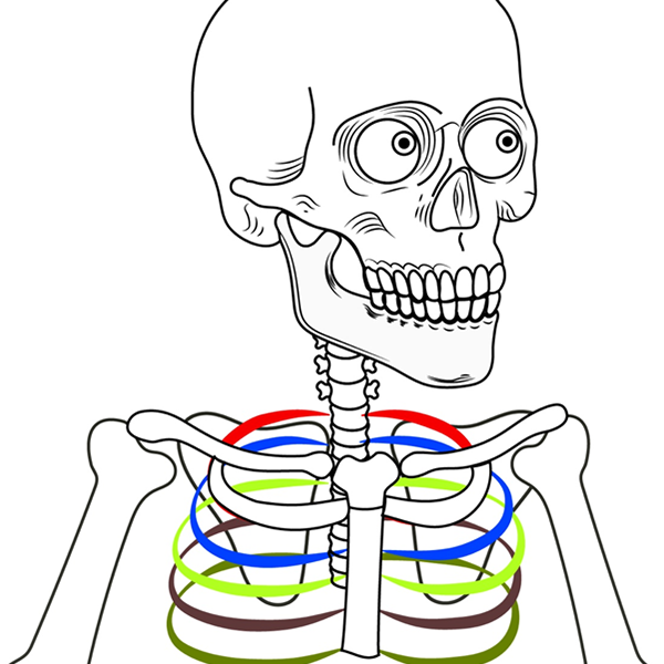 ape1